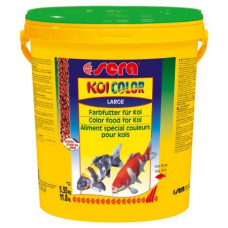 KOI Color Large - 20 liter