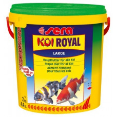 KOI Royal Large - 10 liter