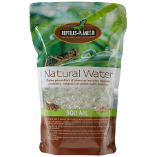 Natural Water - 500 ml